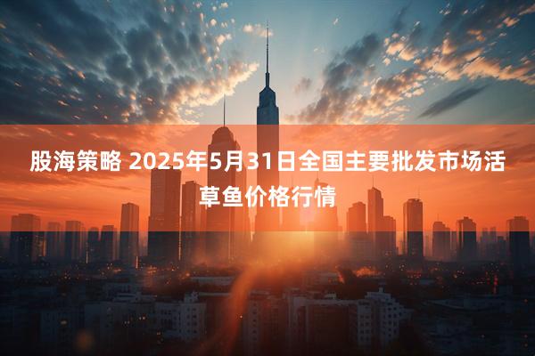 股海策略 2025年5月31日全国主要批发市场活草鱼价格行情