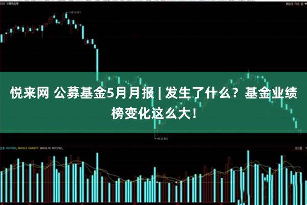 悦来网 公募基金5月月报 | 发生了什么？基金业绩榜变化这么大！