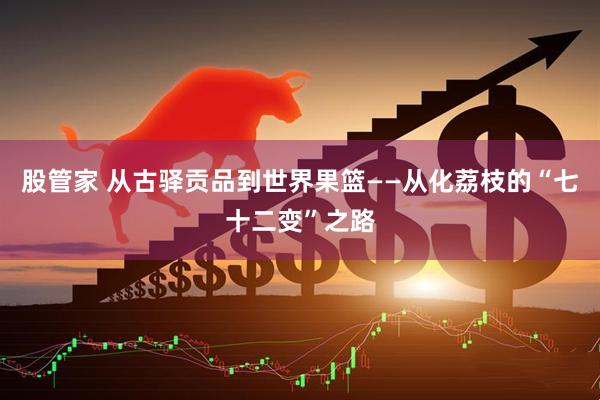 股管家 从古驿贡品到世界果篮——从化荔枝的“七十二变”之路