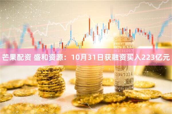 芒果配资 盛和资源：10月31日获融资买入223亿元